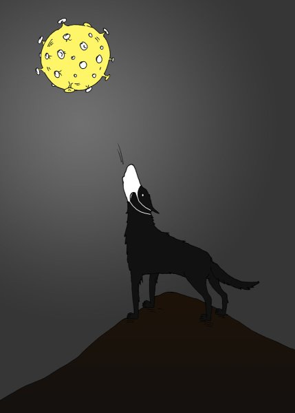 Волк воет на луну прикол