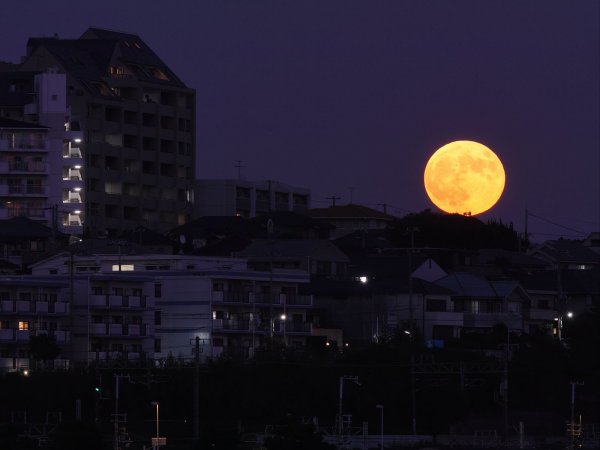 Луна над городом