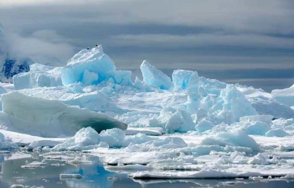 Север царство льда и снега