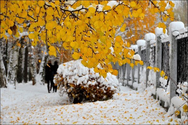 Снег в осеннем парке