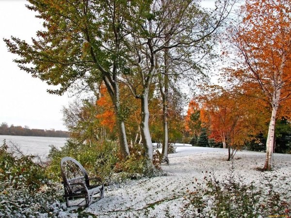 Поздняя осень фото