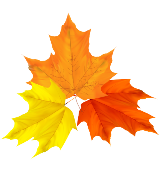 Осенние листья