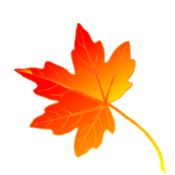 Осенний листок без фона