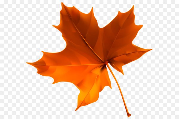 Осенний кленовый лист