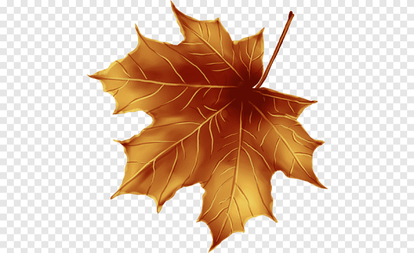 Кленовый лист коричневый