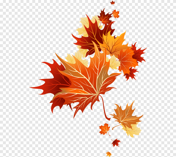 Осенние листья на прозрачном фоне