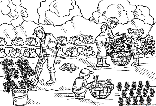 Раскраска. В огороде