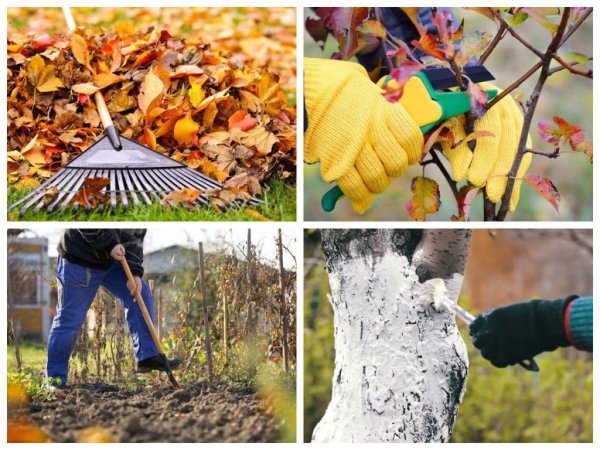Подготовка сада осенью