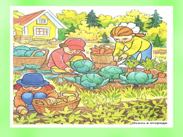 Осенью забирают урожай
