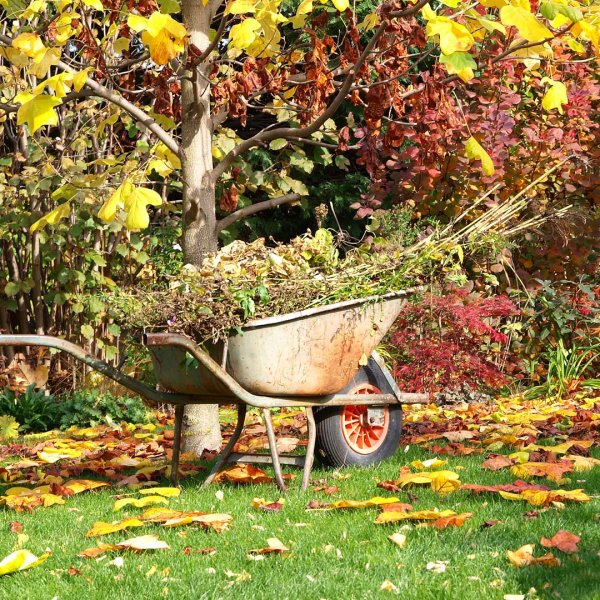 Осенние работы в огороде