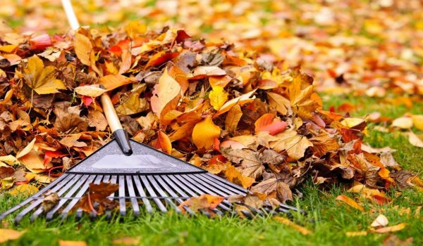 Уборка листвы