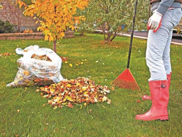 Уборка в саду осенью