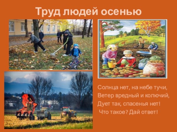 Труд людей осенью