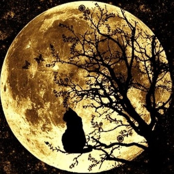 Силуэт на фоне Луны