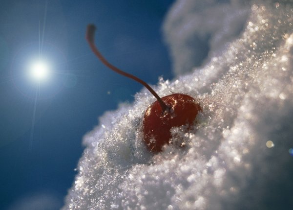 Вишня на снегу