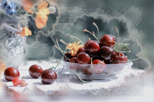 Натюрморт зима