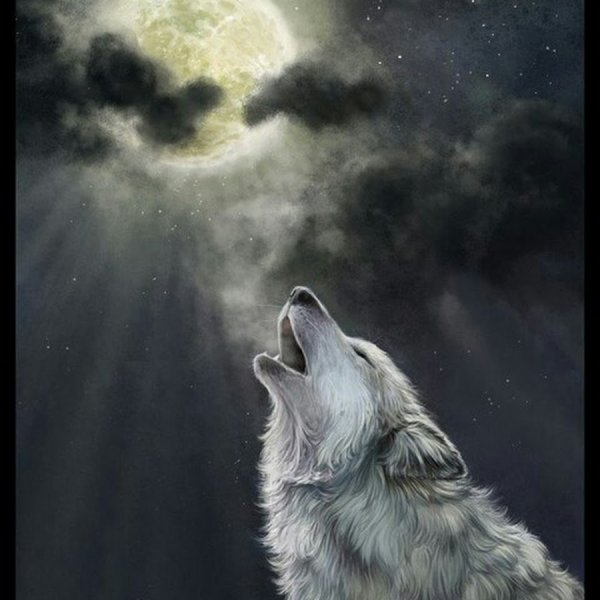 Словно волки кривотолки