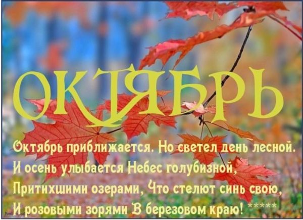 Красивые стихи про октябрь