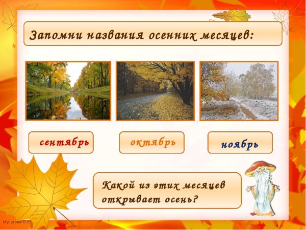 Осенние месяцы