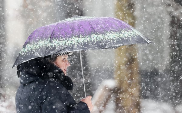 Мокрый снег в Питере