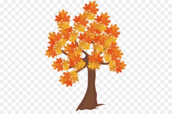 Кленовое дерево