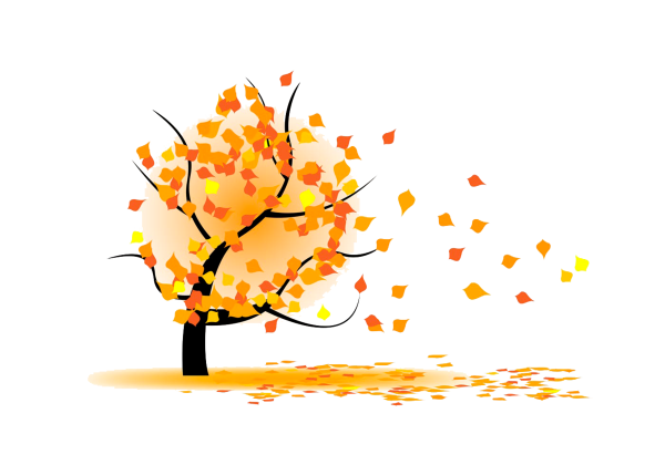 Листья падают с деревьев