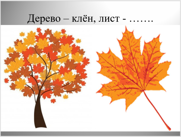 Осеннее дерево для презентации