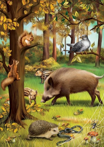 Звери в лесу