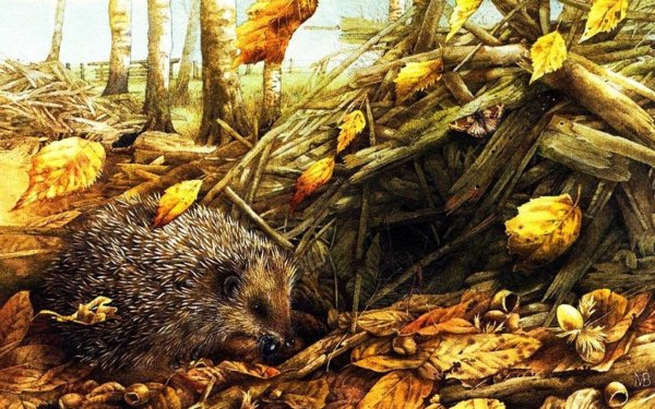 Марджолейн Бастин картины ежики