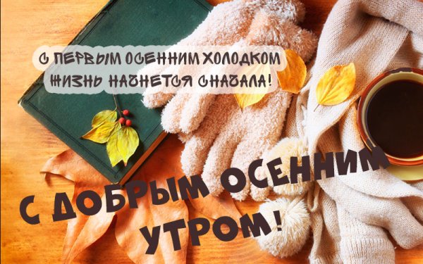 Доброе осеннее утро вторник прикольные