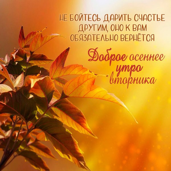 Доброго осеннего утра и хорошего настроения