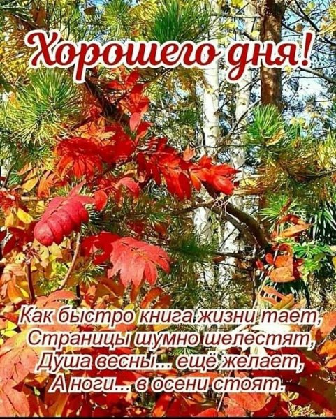 Доброе ноябрьское утро и хорошего дня