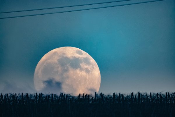 Большая Луна на горизонте