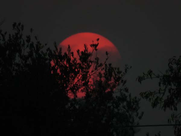 Кровавая Луна 2022