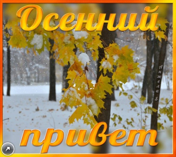 Добрый осенний день снег