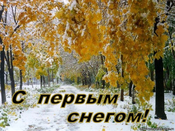 Открытки с первым снегом