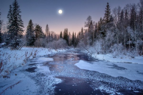 Зимний лес с рекой