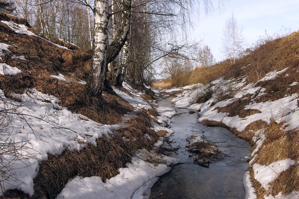 Б.Щербаков «Журчат ручьи весенние»