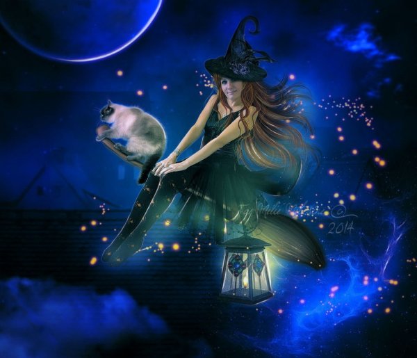 Лунная ведьма