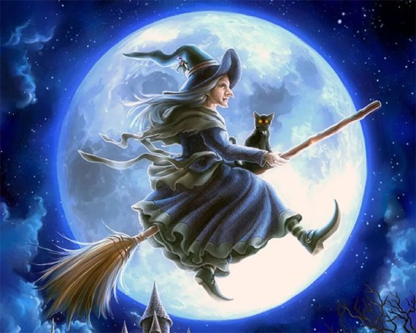 Метла ведьмы