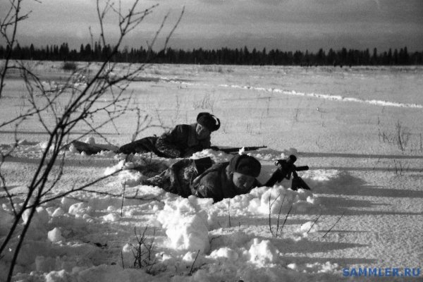 Волховский фронт зима 1942