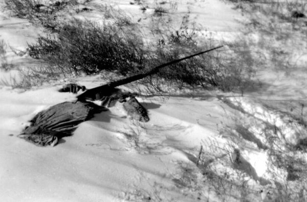 Можайский десант зимой 1941 года