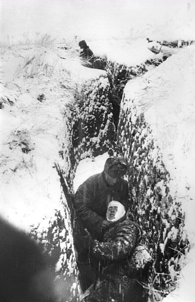 Солдаты погибшие в окопах 1941 году
