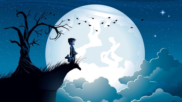 Мальчик на Луне