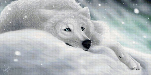 Белая волчица с голубыми глазами арт