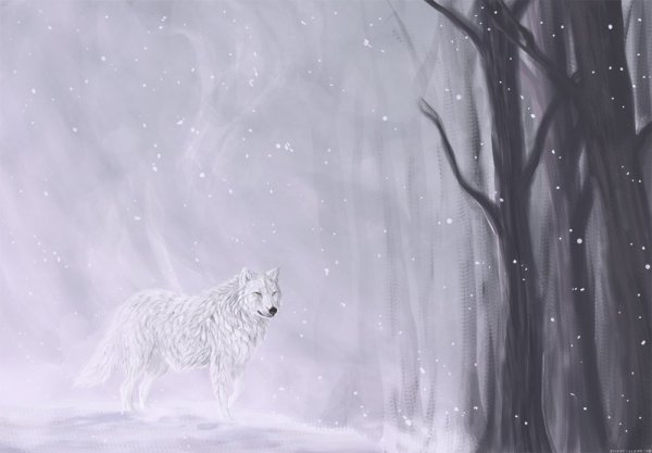 Волк в пургу