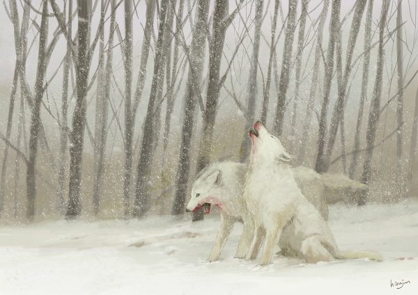 Волк метель