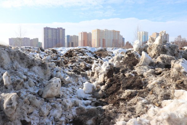 Загрязненность снежного Покрова