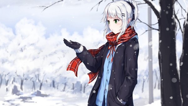 Винтер аниме