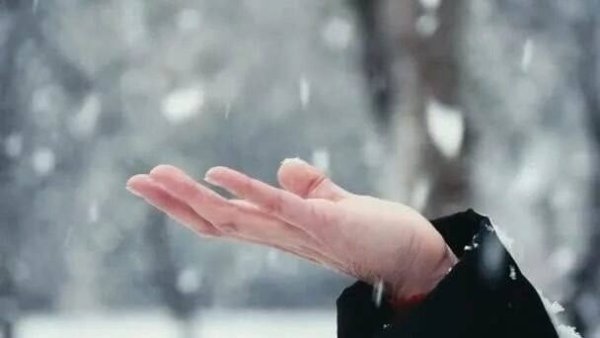 Снежинка тает на ладони